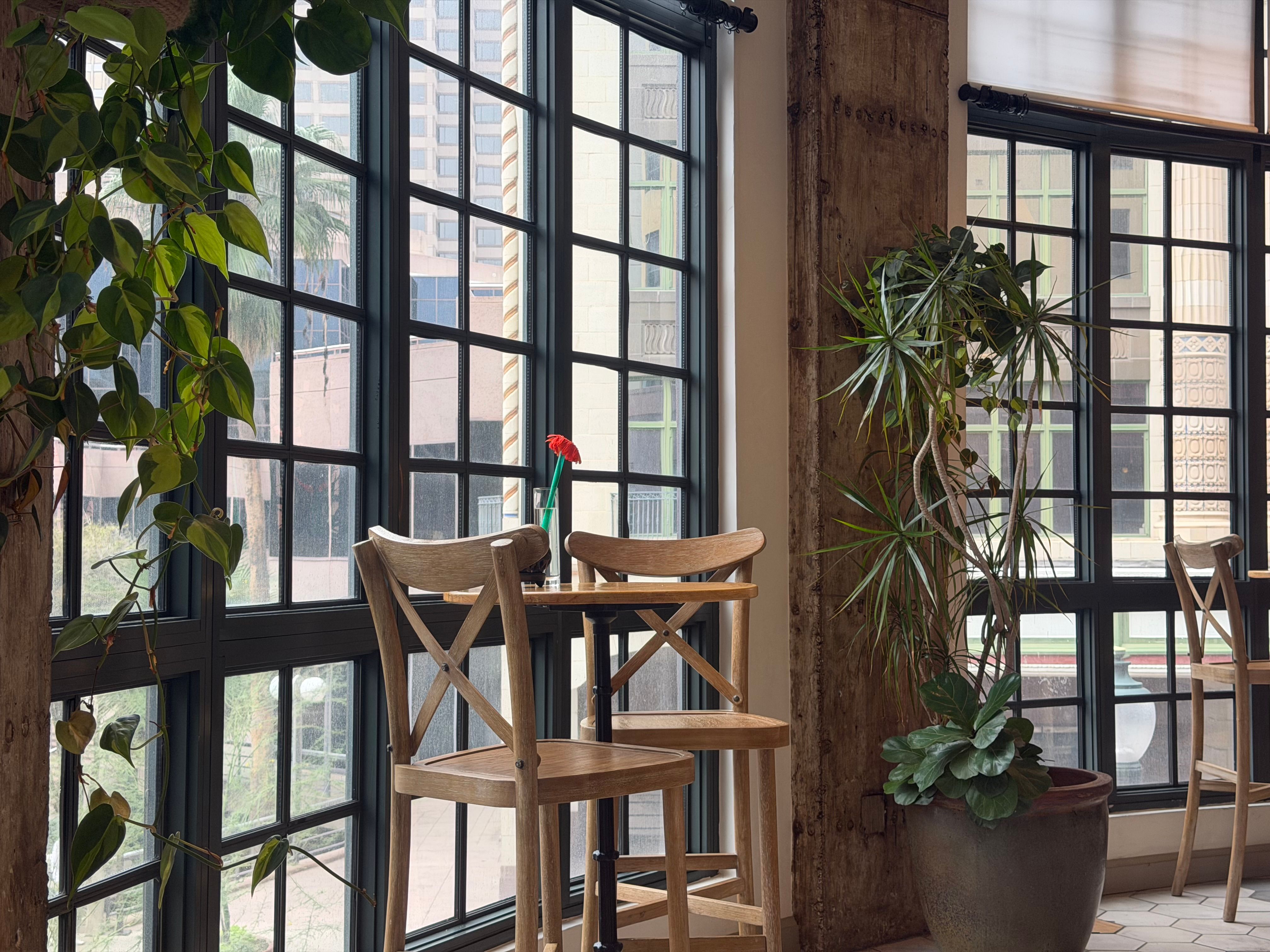 植物に囲まれた明るいカフェ店内